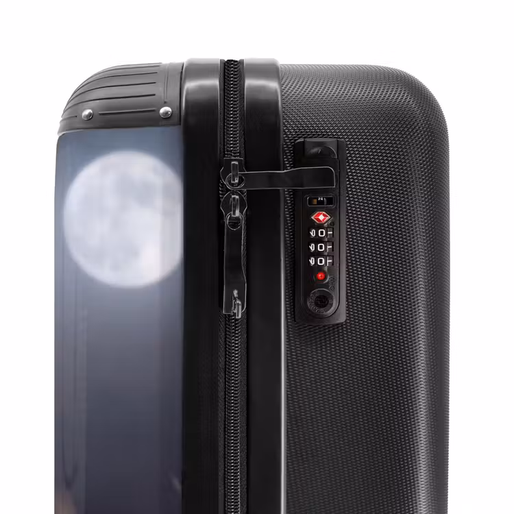 Suitcase - Barn Owl - Moon - Night — 6