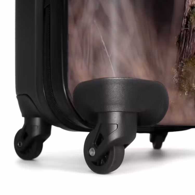 Suitcase - Barn Owl - Moon - Night — 7