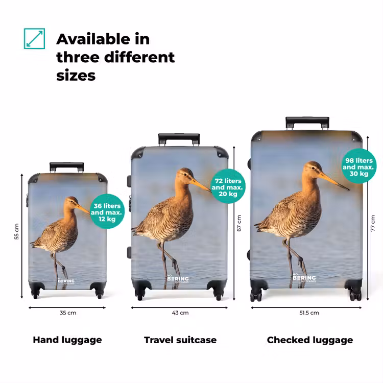 Suitcase - Bird - Wading Bird - Water - Nature — 3