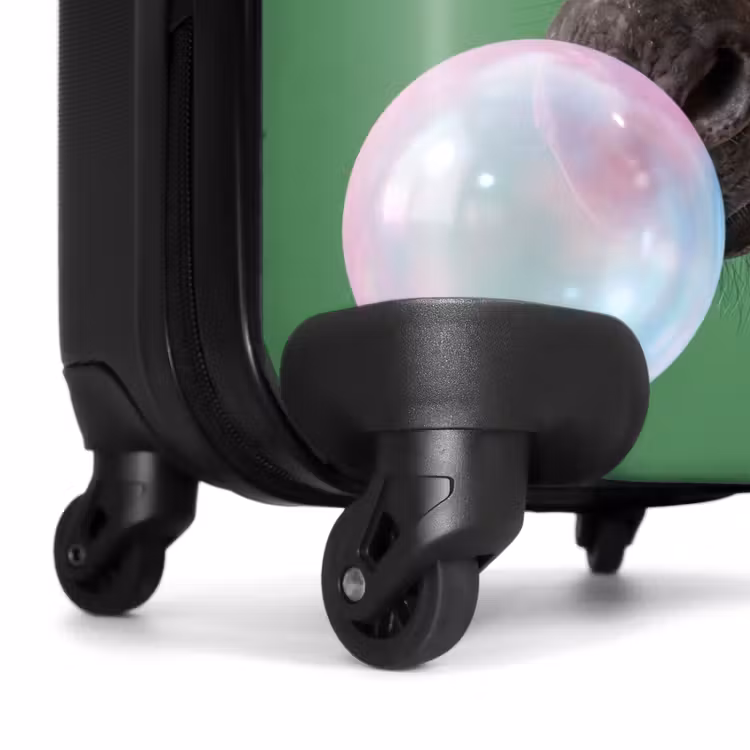 Suitcase - Animal - Glasses - Bell - Modern - Green — 7