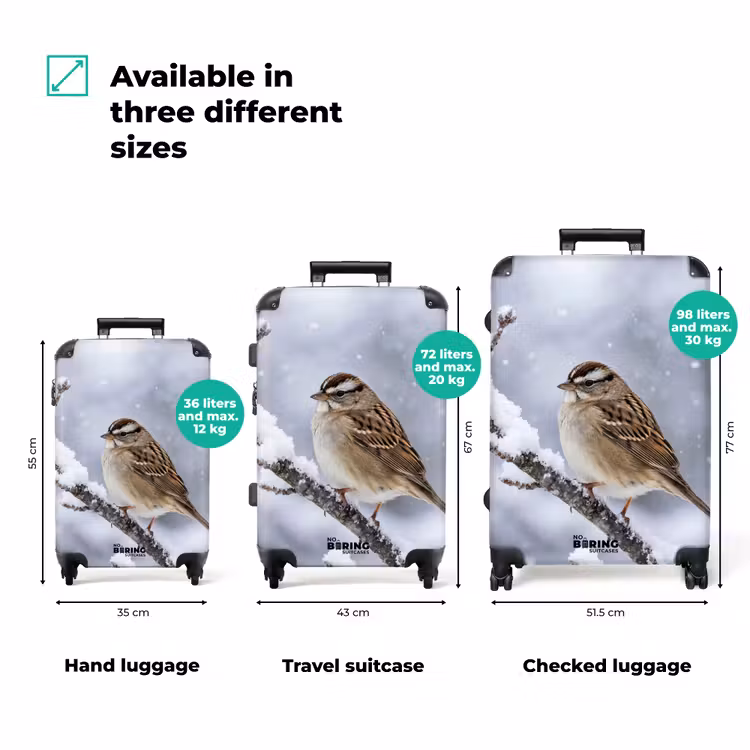 Suitcase - Bird - Branch - Snow - Winter — 3