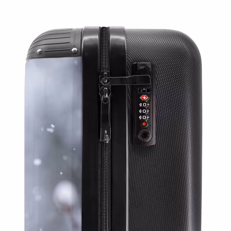 Suitcase - Bird - Branch - Snow - Winter — 6