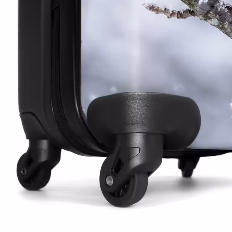 Suitcase - Bird - Branch - Snow - Winter — 7
