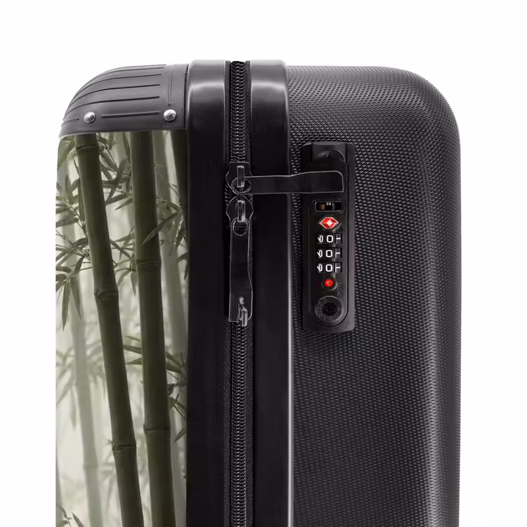 Suitcase - Bamboo - Forest - Fog - Nature — 6