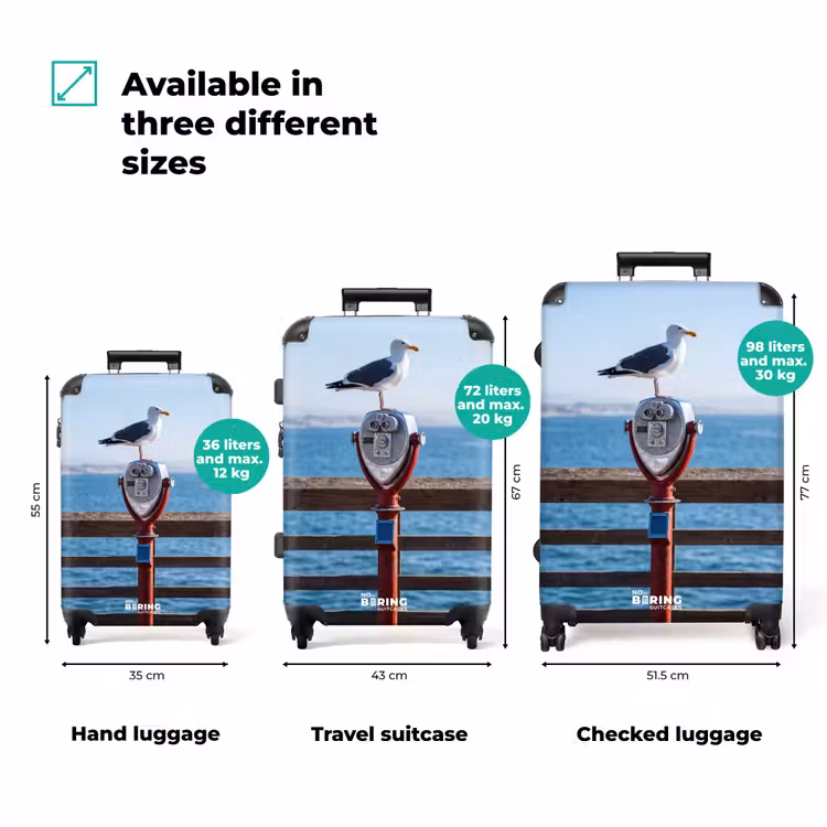 Suitcase - Bird - Binoculars - Coast - Sea - Blue — 1