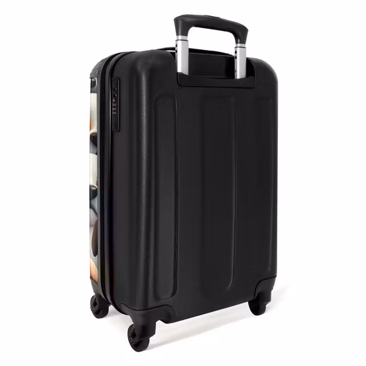 Suitcase - Rabies — 3
