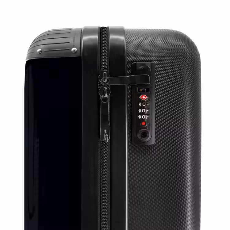 Suitcase - Side view of a horse with fiery mane — 6