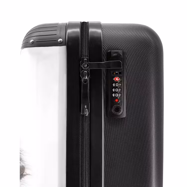 Suitcase - Charlie Chimp — 5