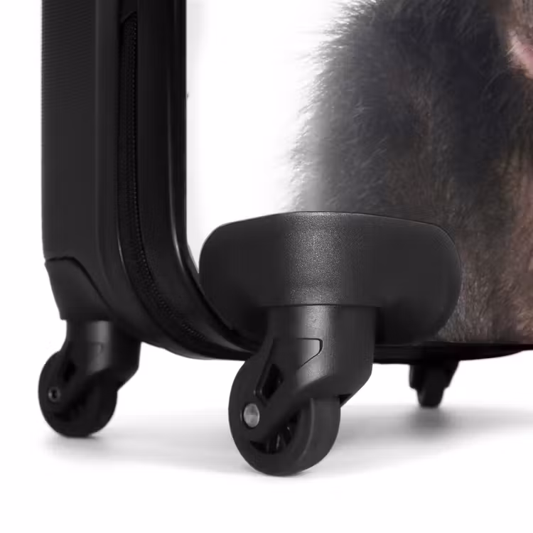 Suitcase - Charlie Chimp — 6