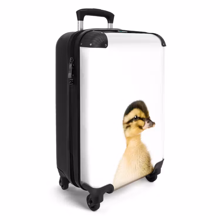 Suitcase - Daisy Duck — 2