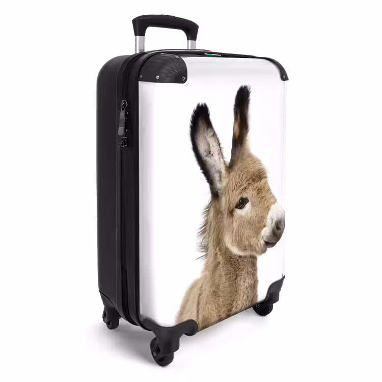 Suitcase - Eddy Donkey — 2