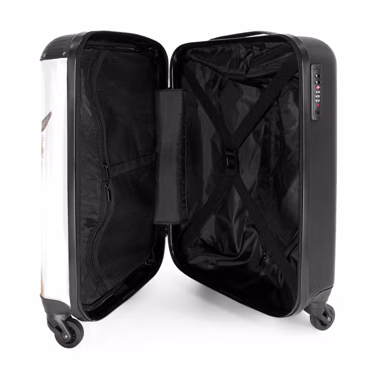 Suitcase - Halbe Highlander — 4