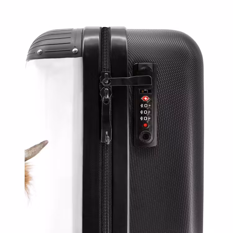 Suitcase - Halbe Highlander — 5