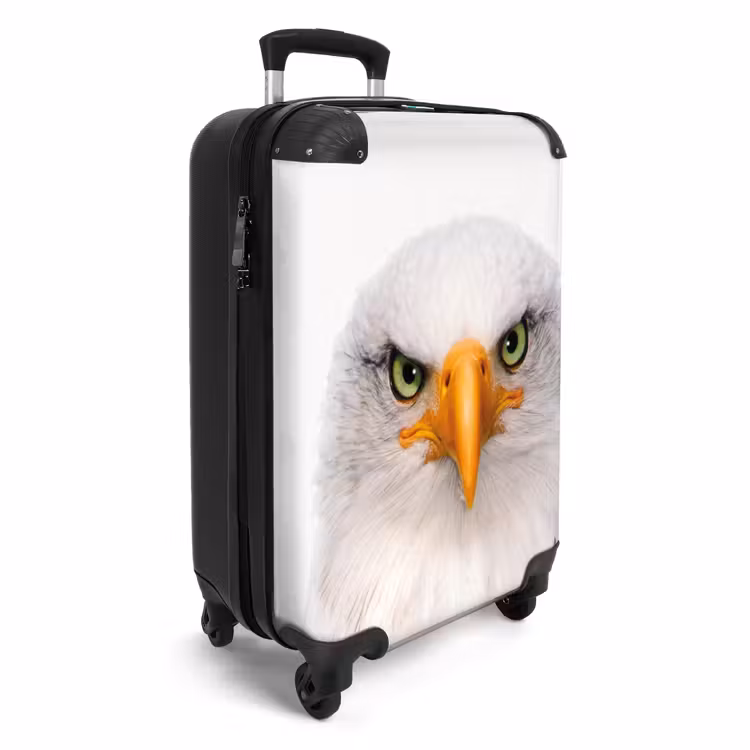 Suitcase - Harry the Hawk — 2