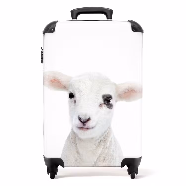 Suitcase - Lam-mert — 1