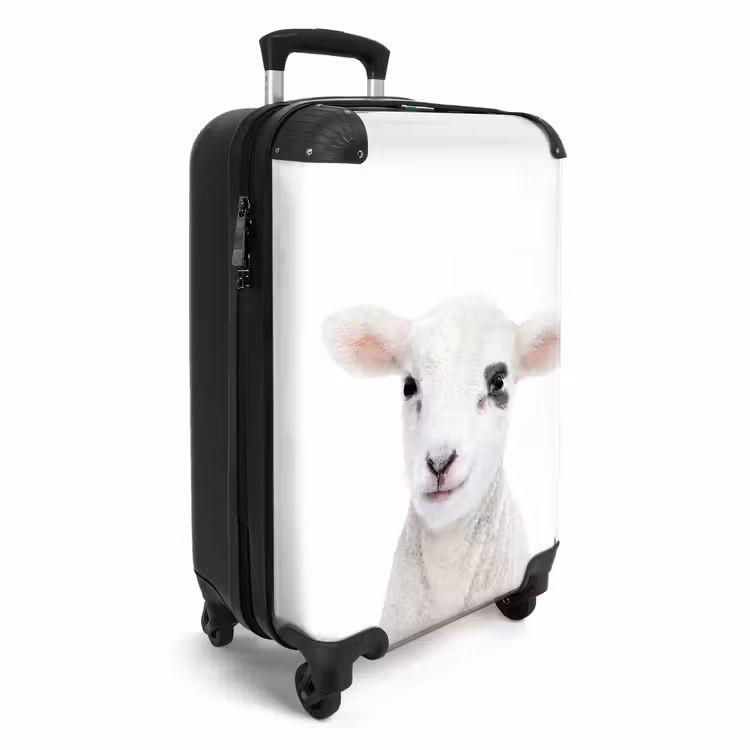 Suitcase - Lam-mert — 2