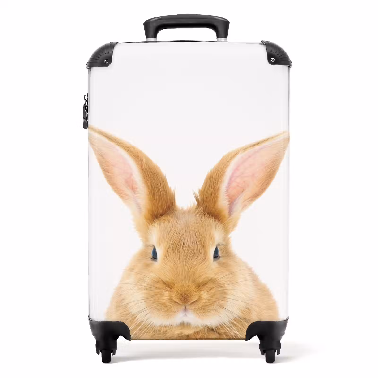 Suitcase - Sniffles with Satisfied Head — 1