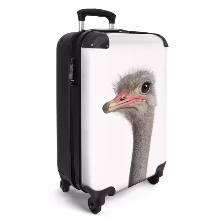 Suitcase - Siebrina Ostrich — 2