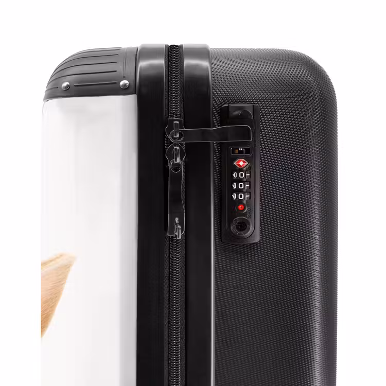 Suitcase - Sniffles with Satisfied Head — 5