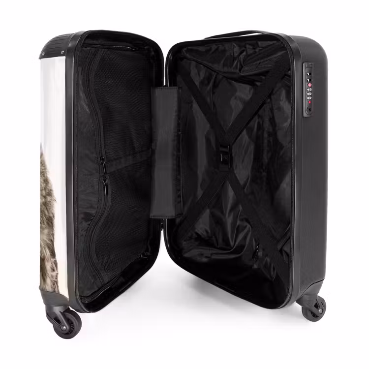 Suitcase - Ulke Owl — 4