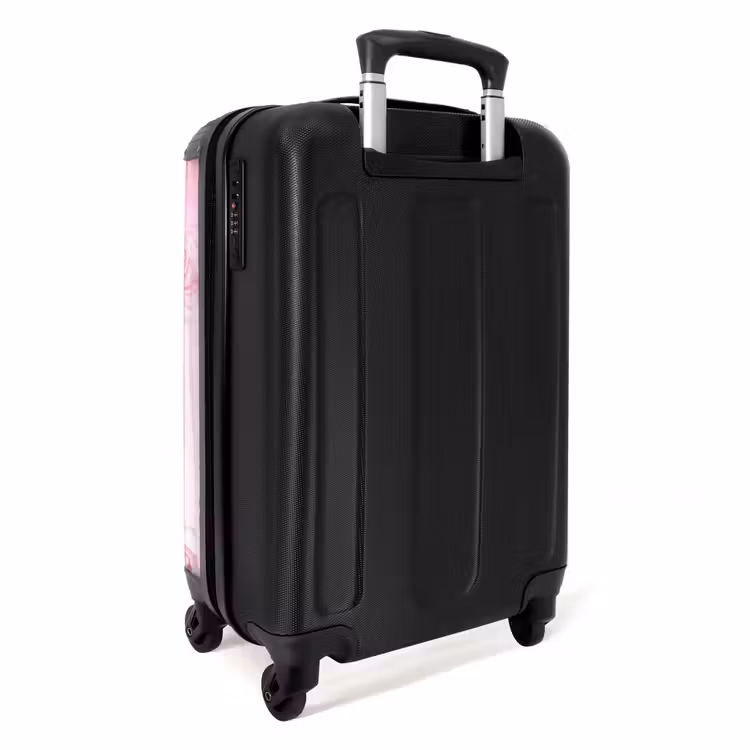 Suitcase - Princess of the rose kingdom — 3