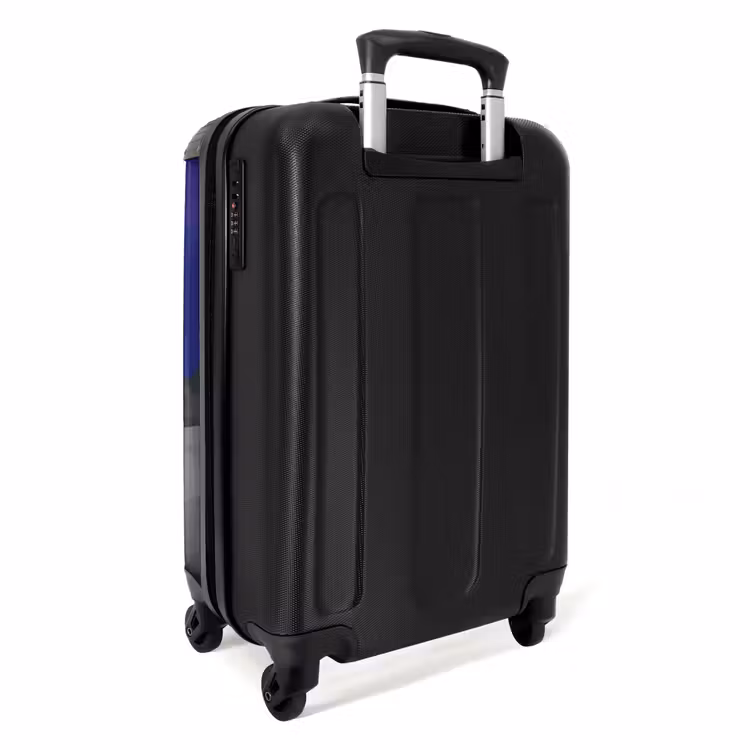 Suitcase - Tjibbe T-Rex — 3