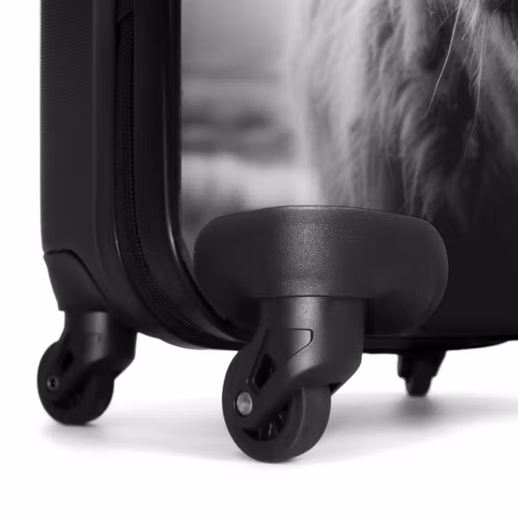 Suitcase - Scottish highlander in black and white — 6