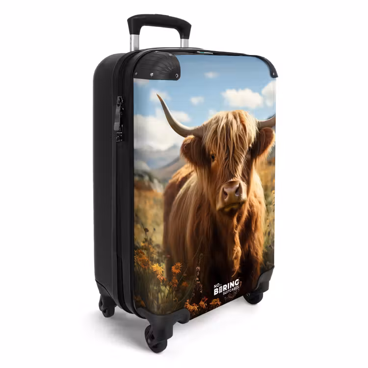 Suitcase - Scottish highlander in pasture — 2