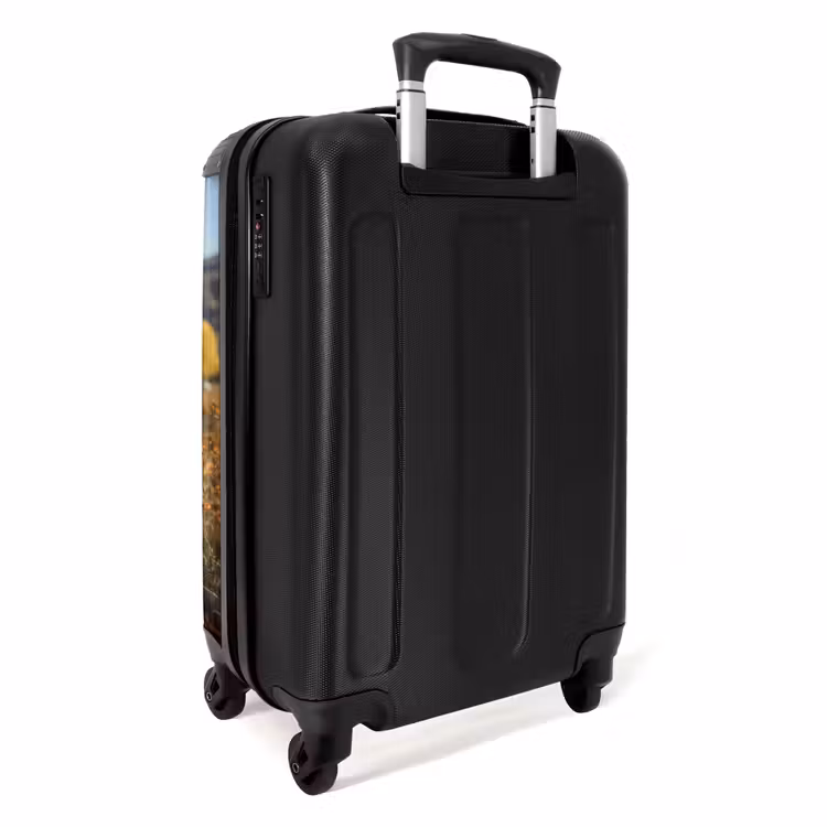 Suitcase - Scottish highlander in pasture — 3