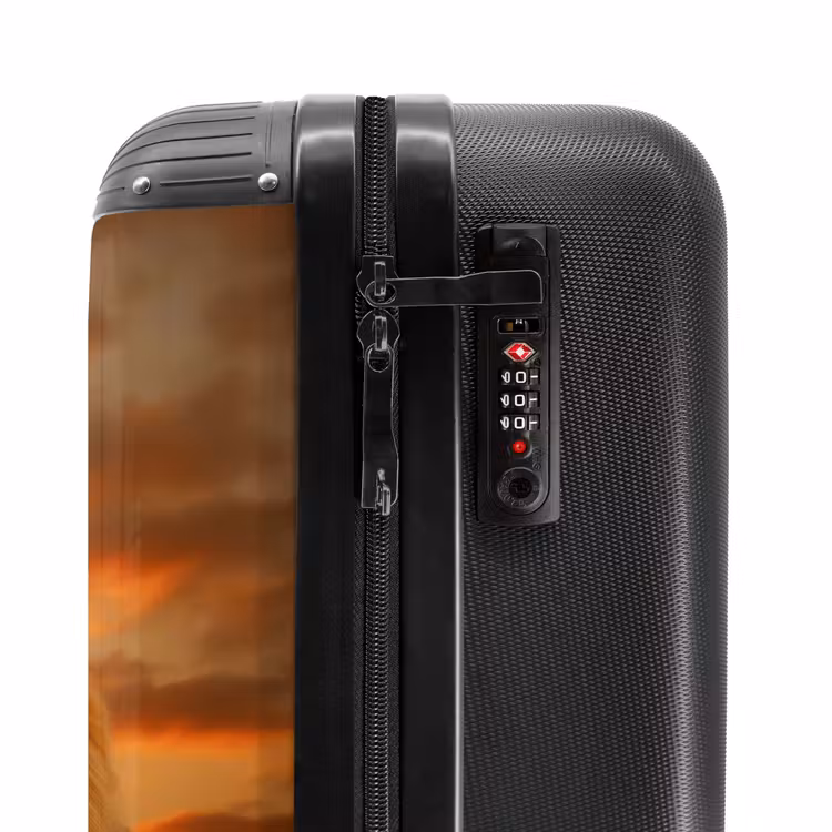 Suitcase - Two brown lions — 5