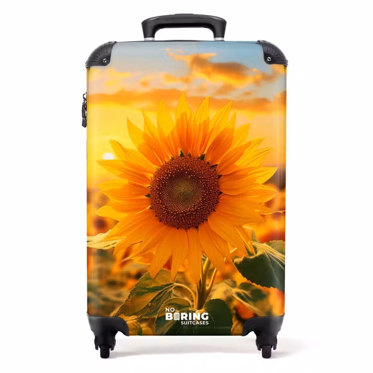 Suitcase - Yellow sunflower at sunset — 1
