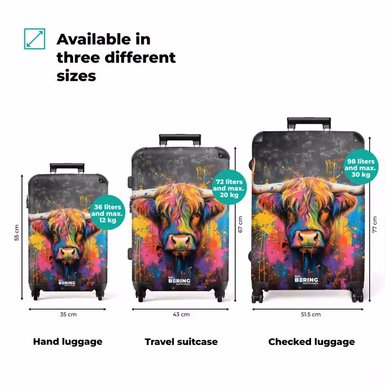 Suitcase - Scottish highlander as graffiti art — 3
