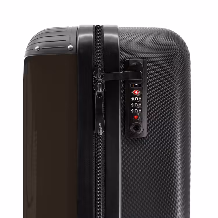 Suitcase - Tattoo style- Realistic snake on brown background — 5