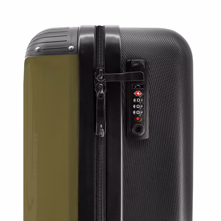 Suitcase - Tattoo style- Realistic snake on green background — 5