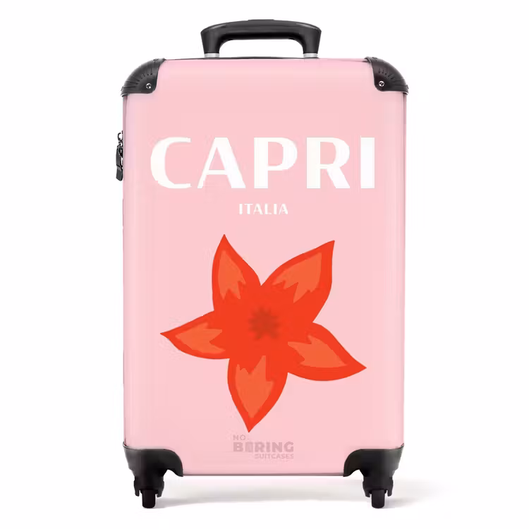 Suitcase - Summer destinations - Capri Italia — 1