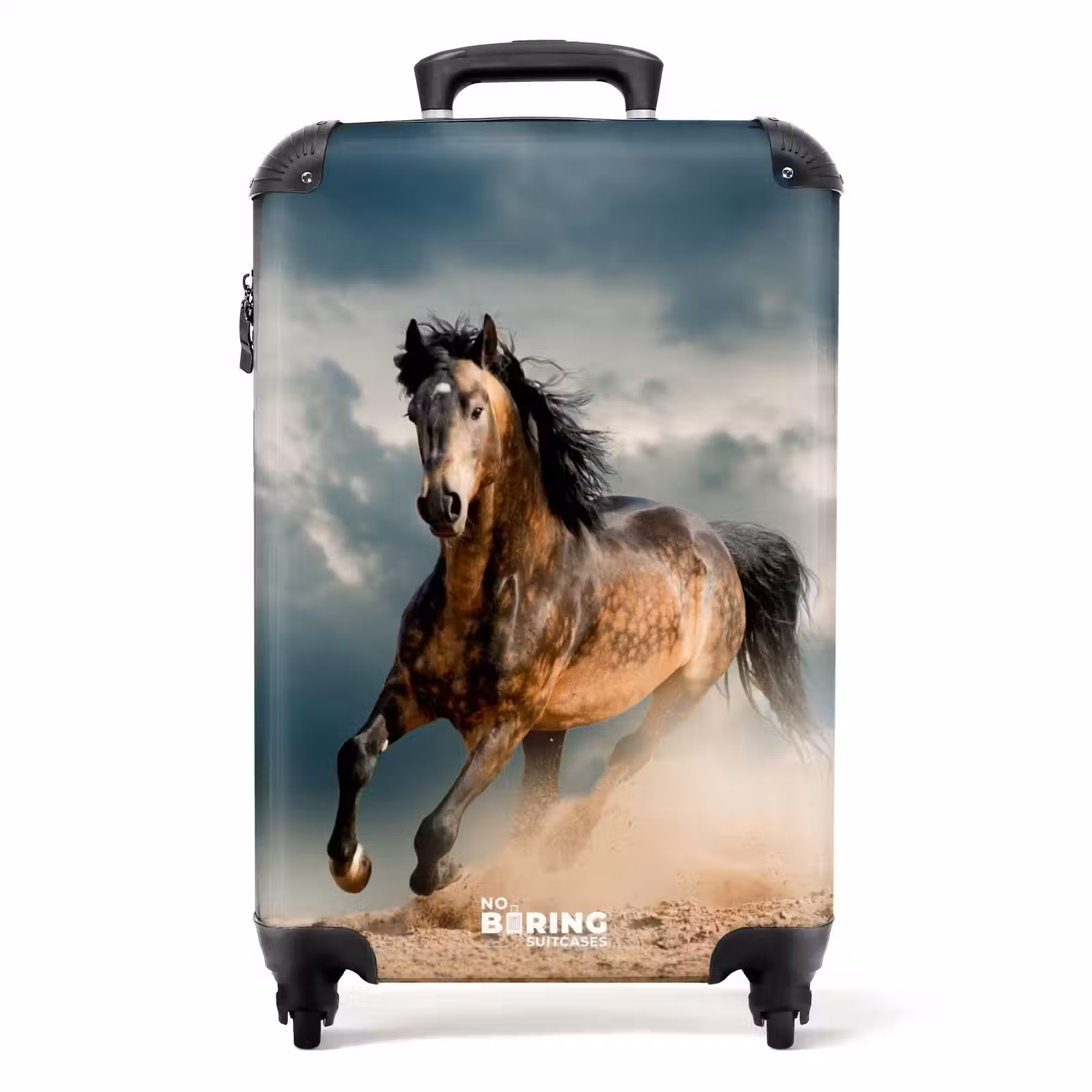 Suitcase - Sandy in storm — 1