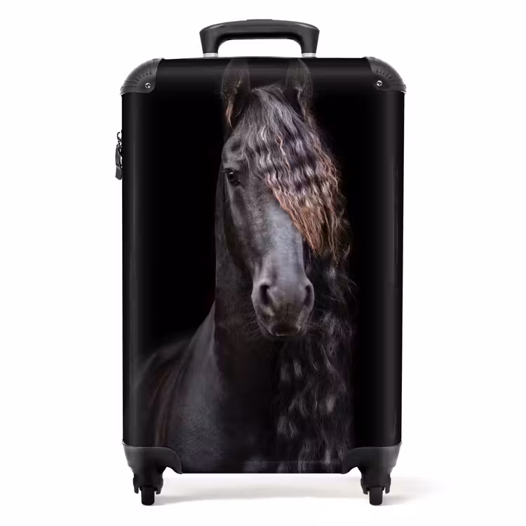 Suitcase - Royal Stallion — 1