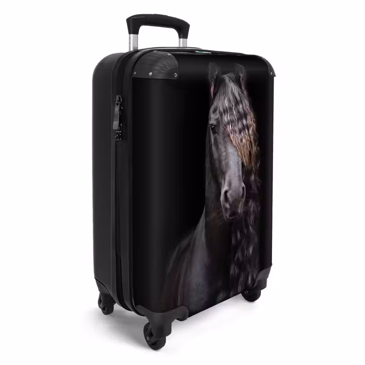 Suitcase - Royal Stallion — 2