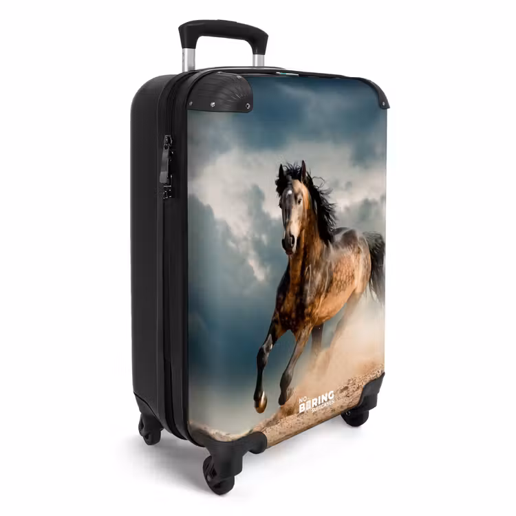 Suitcase - Sandy in storm — 2