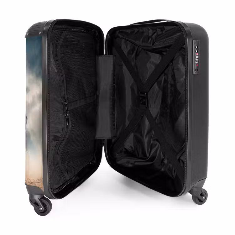 Suitcase - Sandy in storm — 4