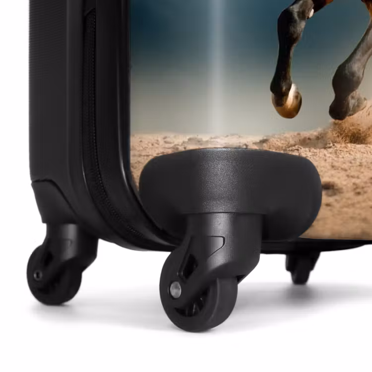 Suitcase - Sandy in storm — 6