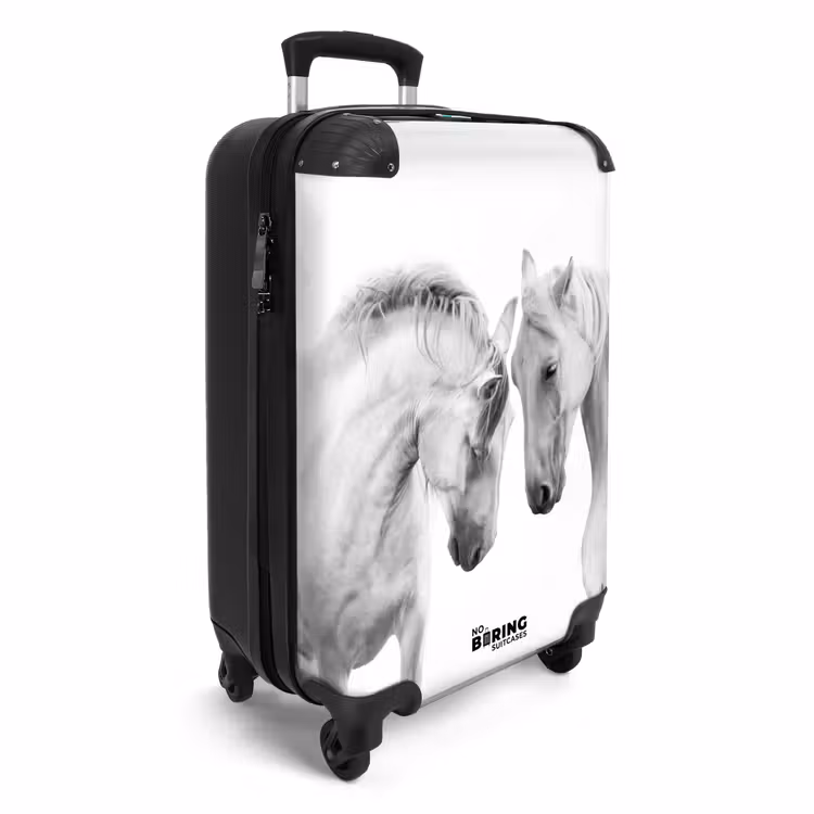 Suitcase - Sympathetic span — 2