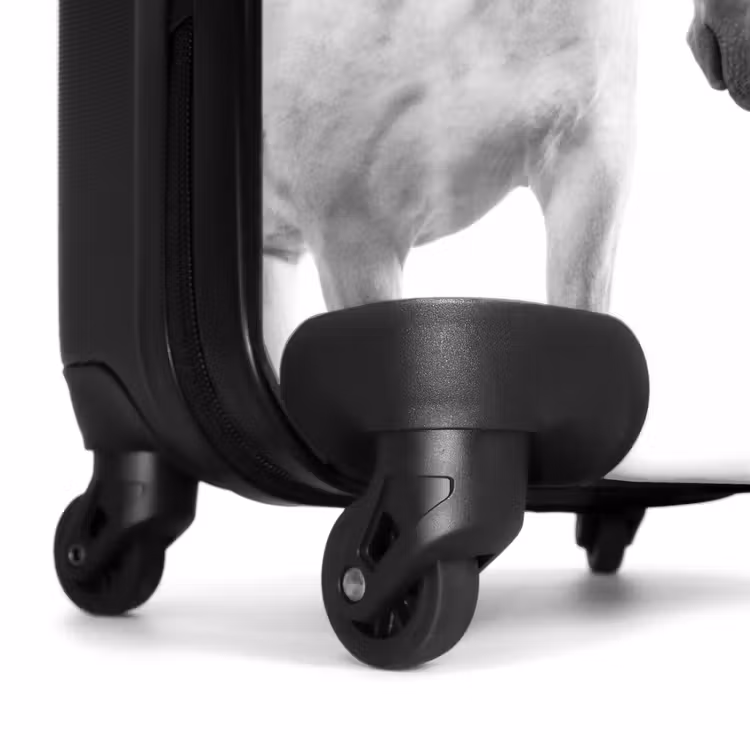Suitcase - Sympathetic span — 6