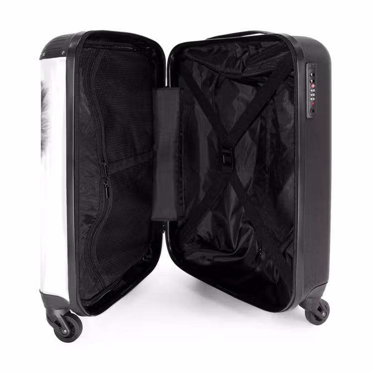 Suitcase - Chewing gum koala — 4