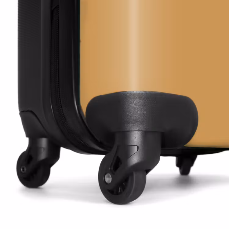 Suitcase - Leo lion — 6