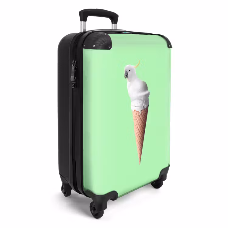 Suitcase - Cockatoo cone — 2