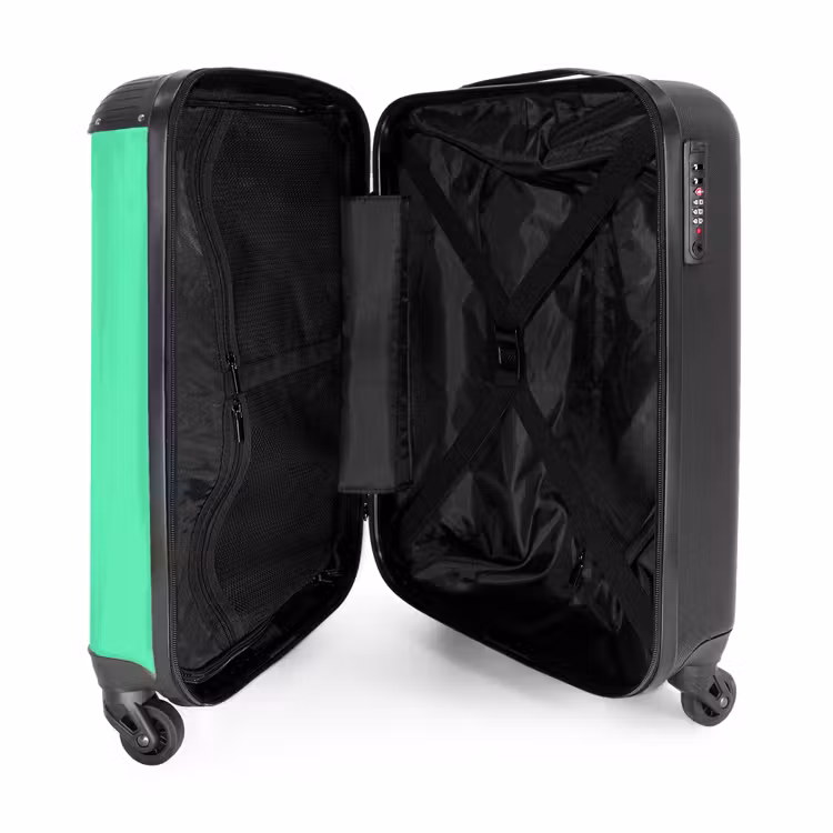 Suitcase - Flamingo cone — 4