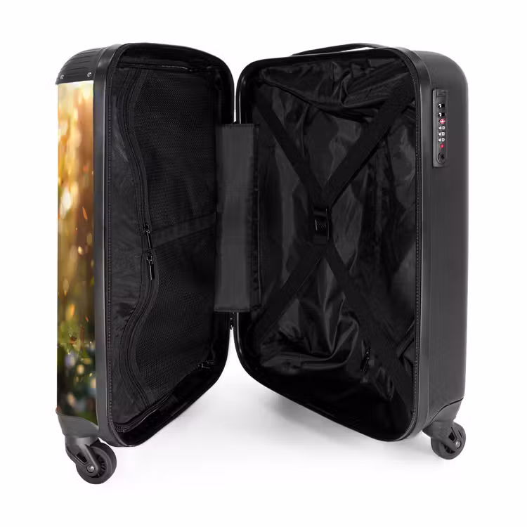 Suitcase - Henry autumn kitten — 4
