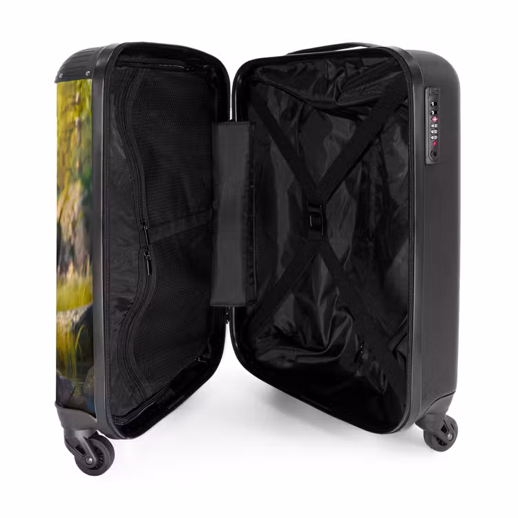 Suitcase - Hessel shepherd — 4
