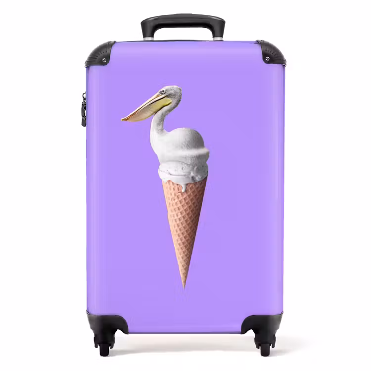 Suitcase - Pelican cone — 1